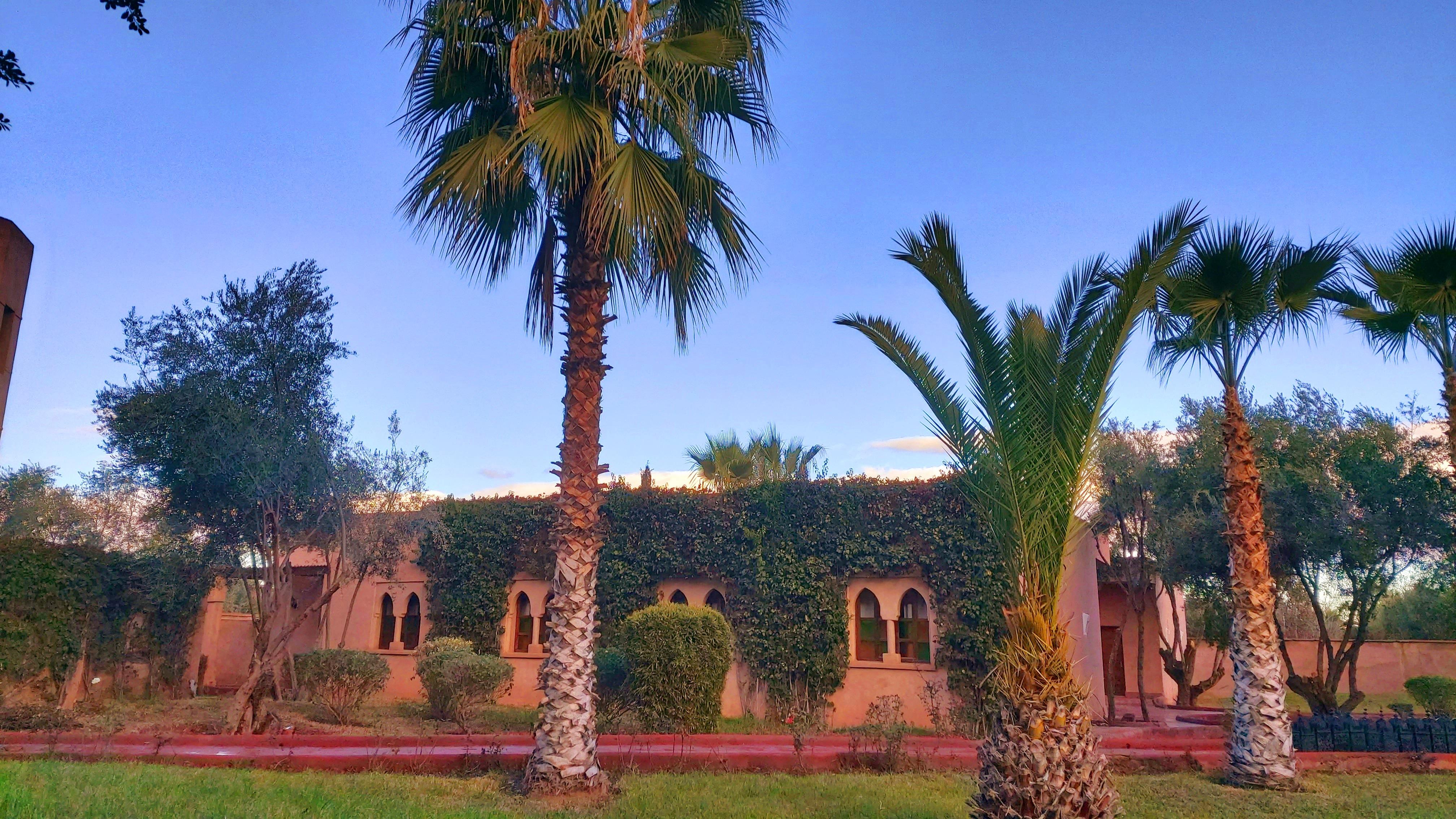 La Maison Des Oliviers Lagouassem Εξωτερικό φωτογραφία