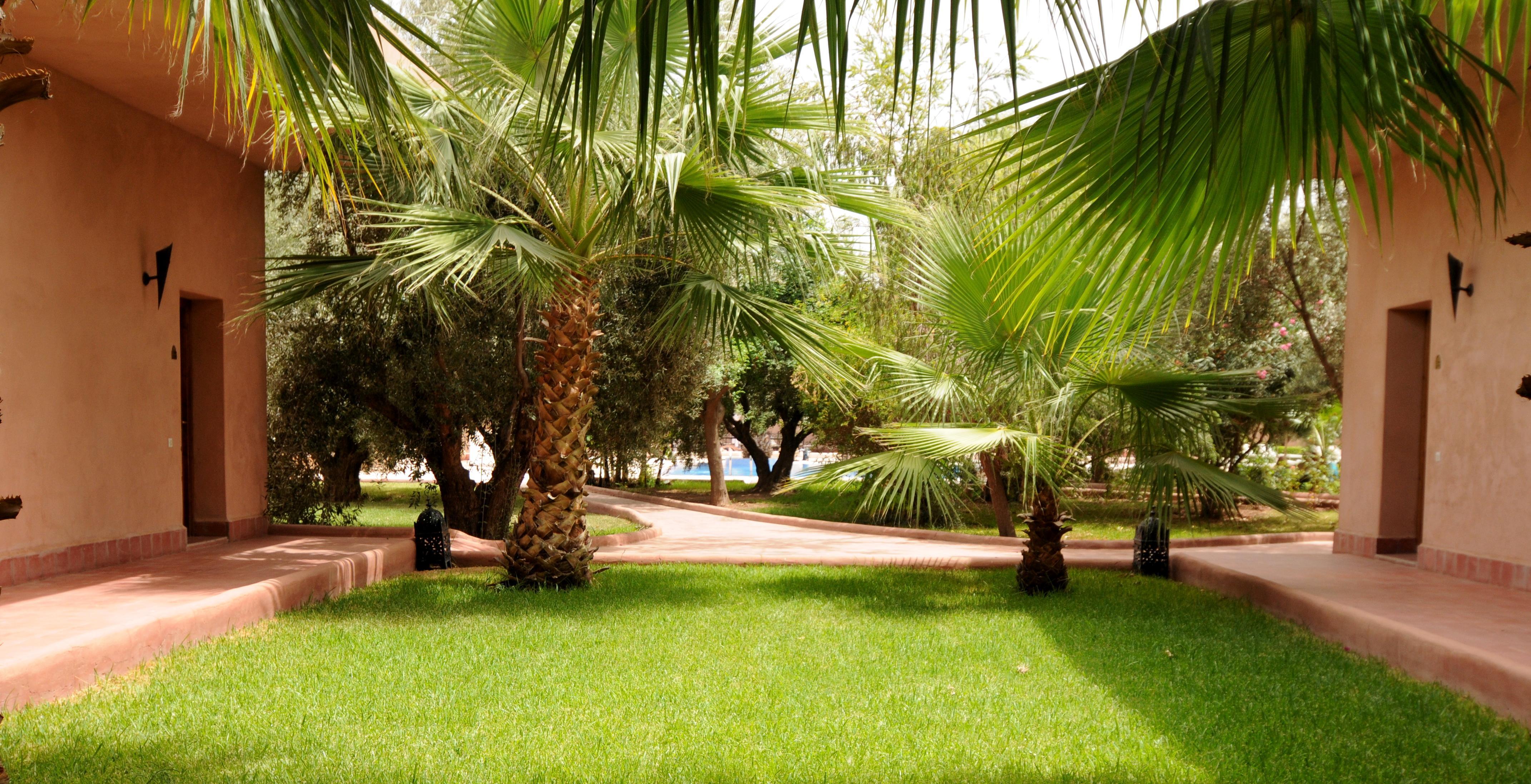 La Maison Des Oliviers Lagouassem Εξωτερικό φωτογραφία
